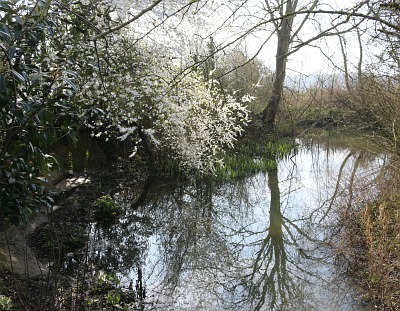 Abingdon Lock