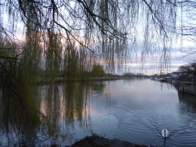 Evening Walk