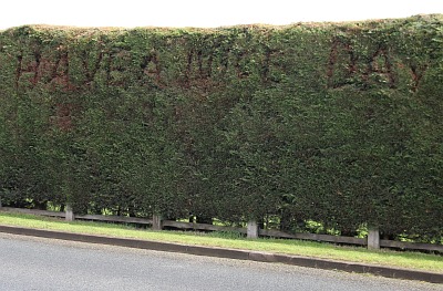 hedge writing
