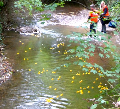 River Ock Duck Race