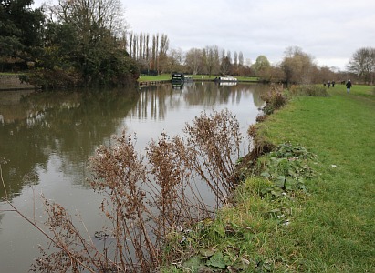Jagged River Banks