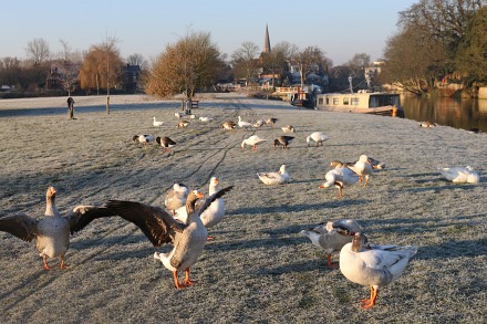Frosty Start