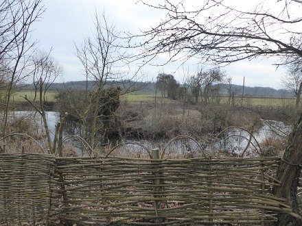 Sheep and Canoes coming