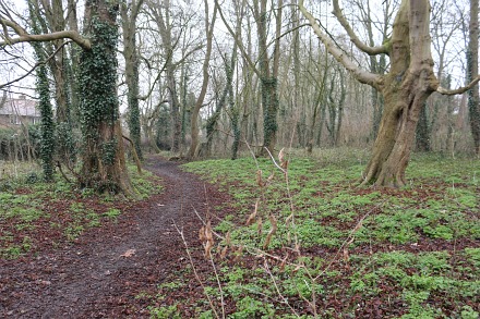 Boxhill Walk Nature Reserve