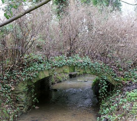 Boxhill Walk Nature Reserve