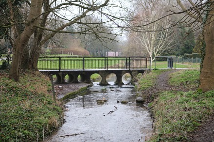 Boxhill Walk Nature Reserve