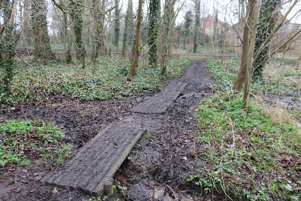 Boxhill Walk Nature Reserve