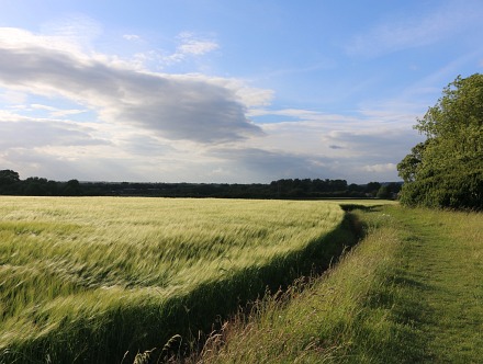 New Estates