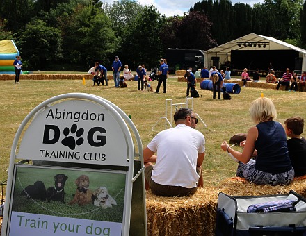 Abingdon Dog Training Courses