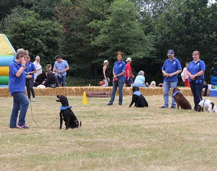 Abingdon Dog Training Courses