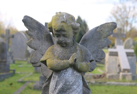 Cemetery angels