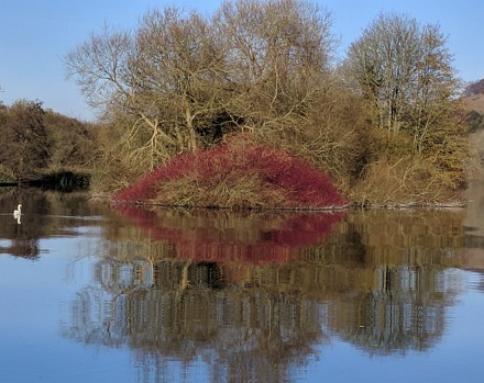 River Thames