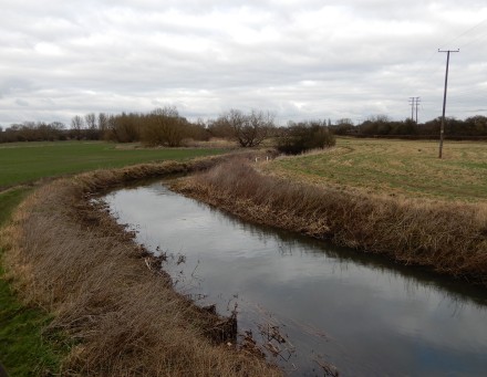 Dragons Teeth