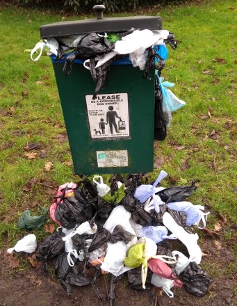 Dog Bin Overflow