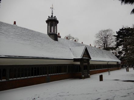 More Fine Snow