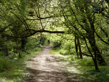 Green Gym About