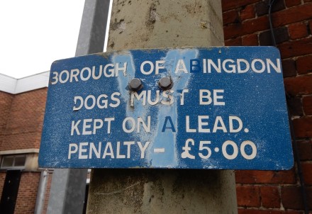 Oldest Dog Sign in Abingdon