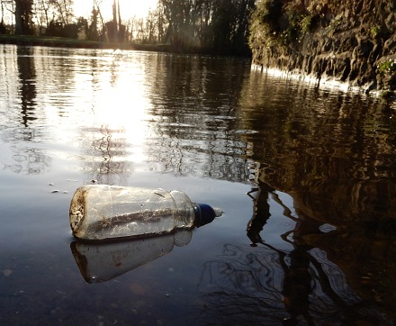 Single-use Plastic Container