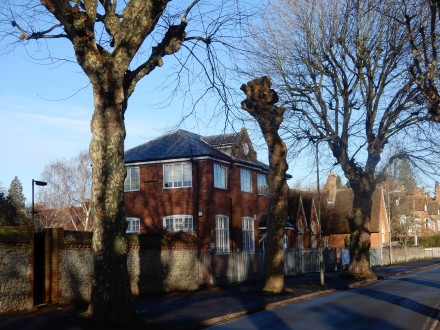 Plane trees