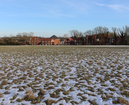 Masefield Crescent field