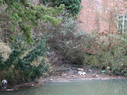 Mill Stream partially cleared