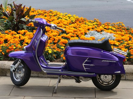 Caravans and Scooters