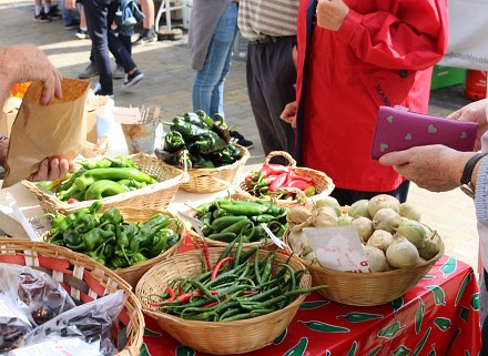 Chilli Festival