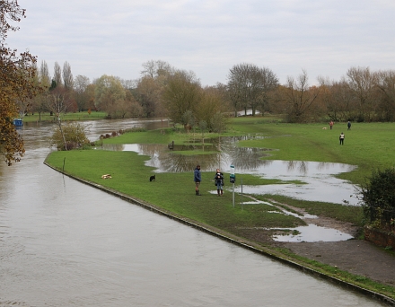 Abingdon River levels High