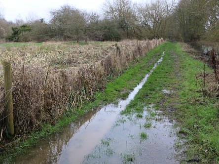 Barton Fields in February