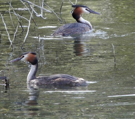 On the River Banks