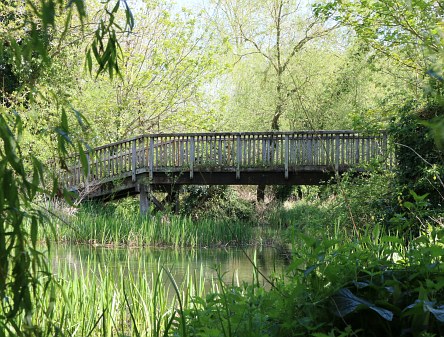 Abbey Grounds