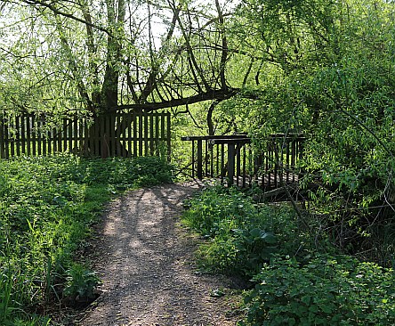 Barton Fields in April