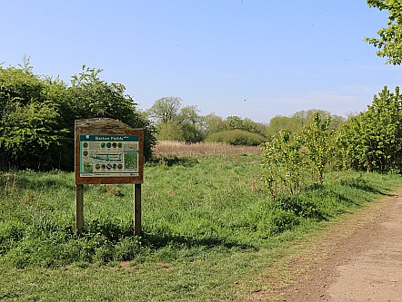 Barton Fields in April