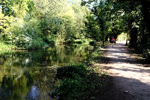 Cycle Path through Abbey Meadows