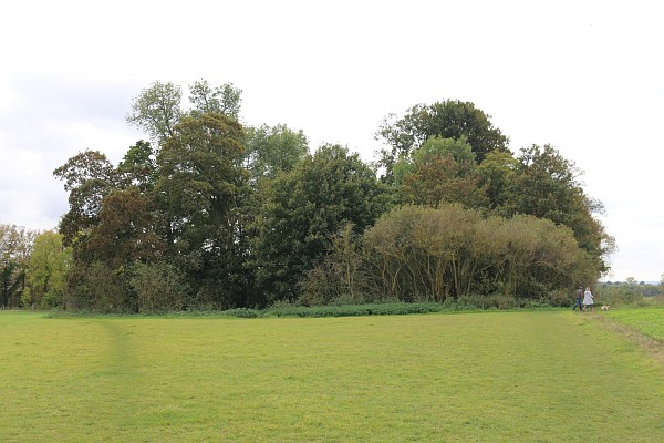 Drayton Field