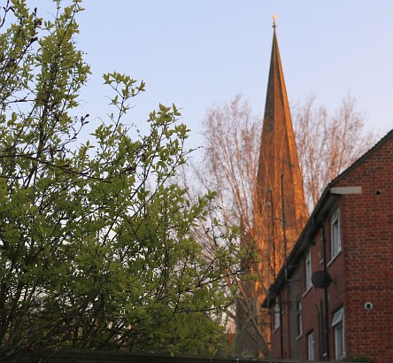 Barton Fields in March