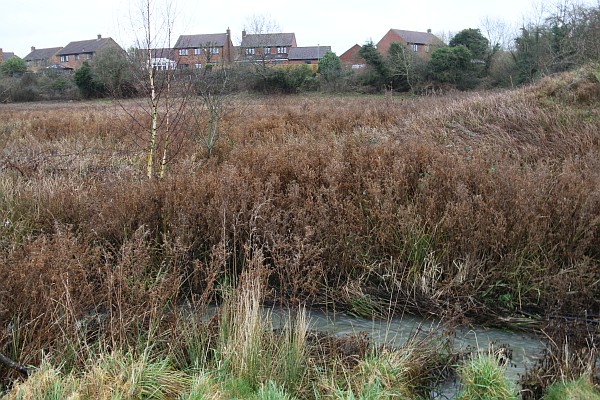 Abbey Fish Ponds