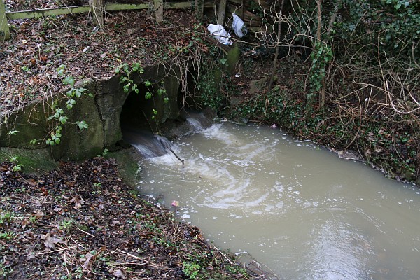 Abbey Fish Ponds