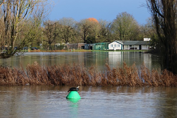 Abingdon floods