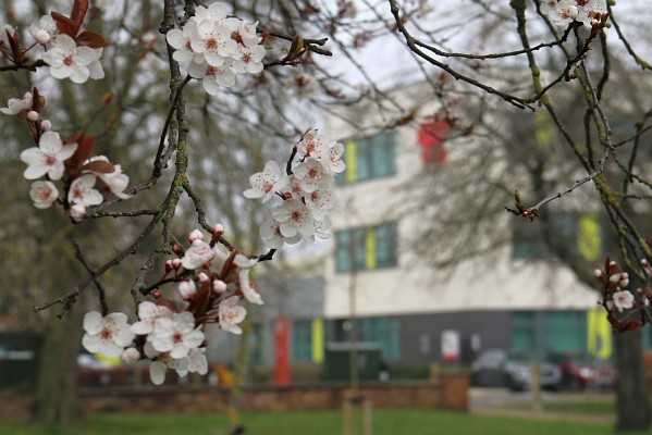 Abingdon and Witney College